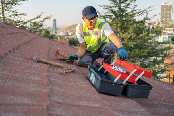 Best Siding Painting and Refinishing  in Kettering, OH